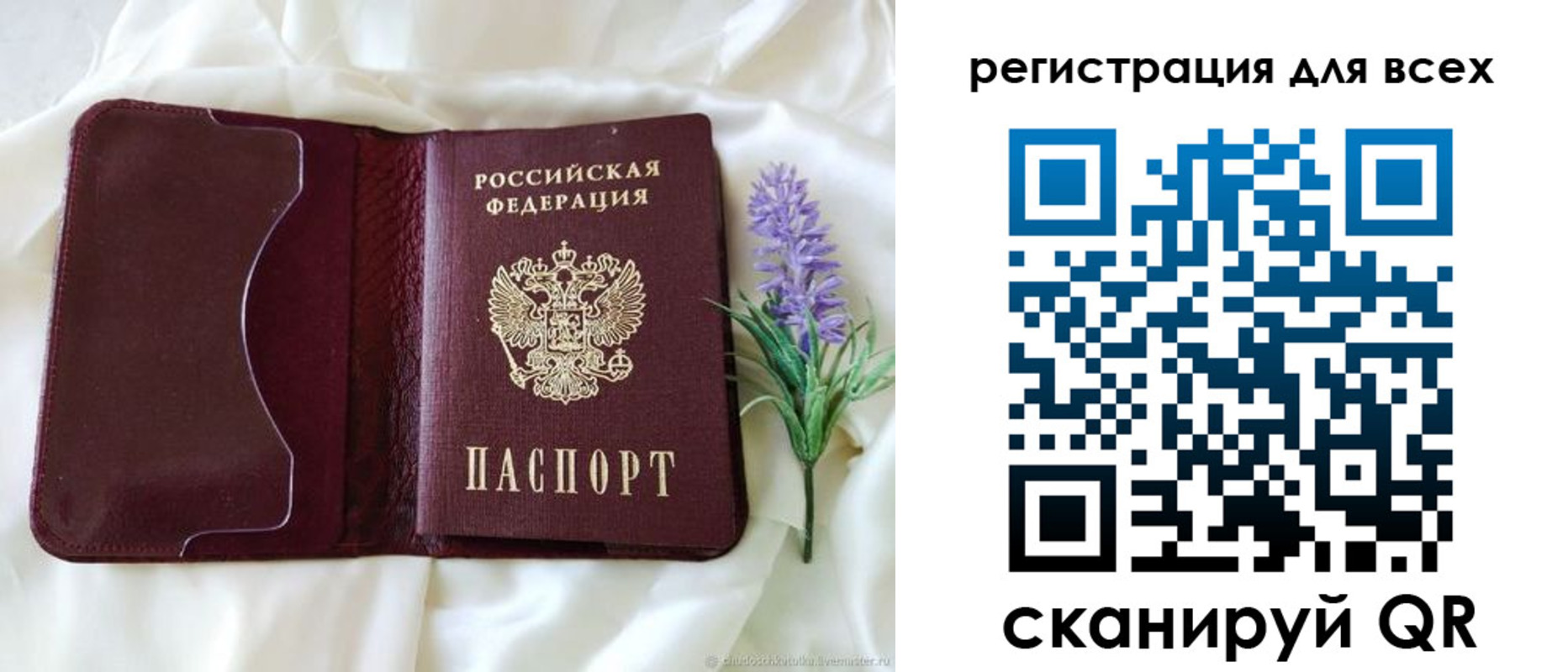 прописка 2025 в Николаевске-на-Амуре
